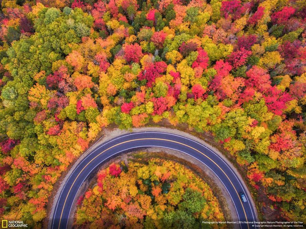 Fotografie natury, która nie przestaje zachwycać. Oto finałowe prace konkursu National Geographic Nature Photographer of the Year 2016 18
