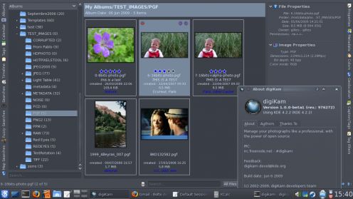 Pierwsza wersja beta narzędzia digiKam 1.0 1