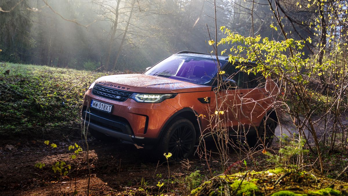 Kwestia wjazdu autem do lasu jest stosunkowo skomplikowana