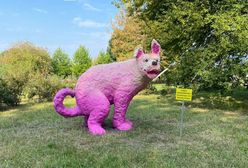 Думки варшав'ян щодо скульптури рожевого пса на Охоті розділились