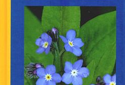 Śmierć ma zapach szkarłatu