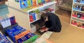 Europejski Poeta Wolności - nowa nagroda literacka