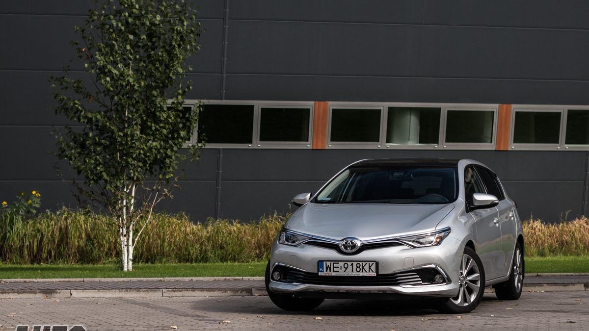 Zdjęcie ilustracyjne do artykułu