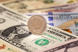 Kurs złotego. Jak zareagowała polska waluta na niedzielny atak?