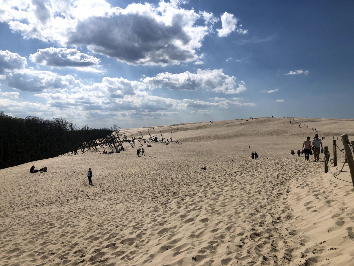 7 miejsce w naszym rankingu to Łeba i Słowiński Park Narodowy.Łeba to malownicze miasteczko położone w pobliżu Słowińskiego Parku Narodowego, znane z ruchomych wydm i pięknych plaż. To idealne miejsce dla miłośników przyrody i spokojnego wypoczynku.Ruchome wydmyJedną z największych atrakcji Łeby są ruchome wydmy, które przyciągają turystów swoją unikalnością. Warto wybrać się na wycieczkę do Słowińskiego Parku Narodowego i zobaczyć te niezwykłe formacje krajobrazowe.Aktywności na świeżym powietrzuŁeba oferuje liczne możliwości aktywnego spędzania czasu, takie jak wycieczki rowerowe, spacery po plaży czy sporty wodne. To idealne miejsce dla osób ceniących kontakt z naturą i aktywny wypoczynek.