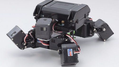 Uroczy, mechaniczny żółwik [wideo] 1