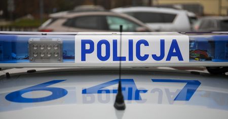 Opiekunka z piekła rodem. Urządzała imprezy, zamiast zająć się podopiecznym