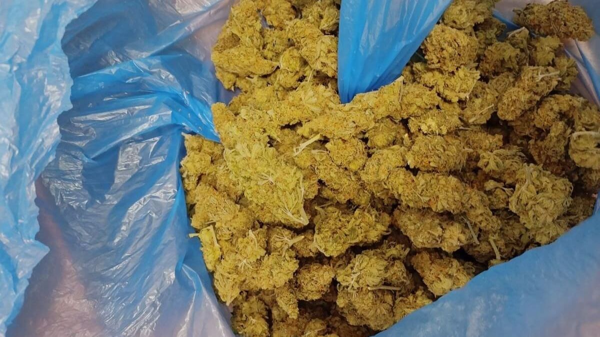 marihuana