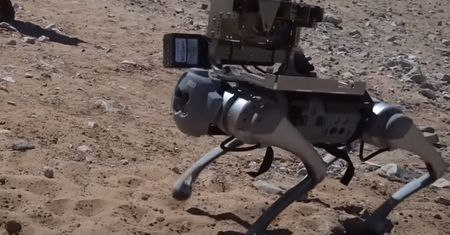 Robo-pies z wyrzutnią rakietową. To już nie scenariusz z filmu