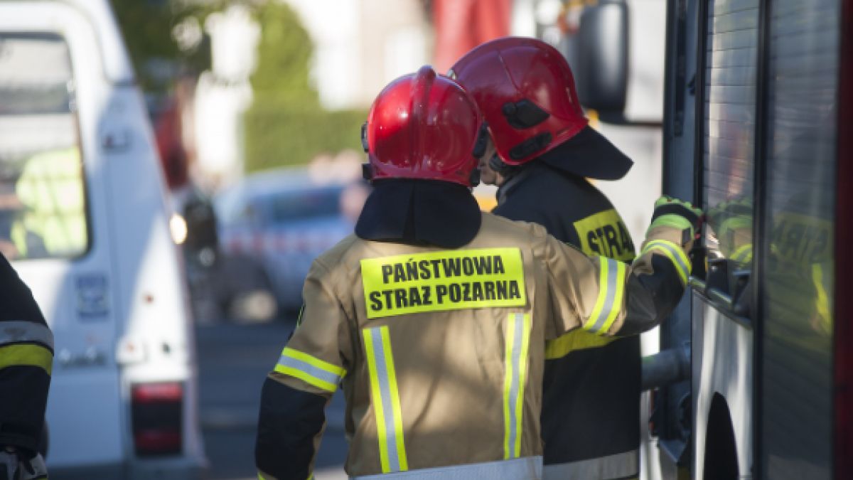 Trwa akcja poszukiwawcza w Złotorii