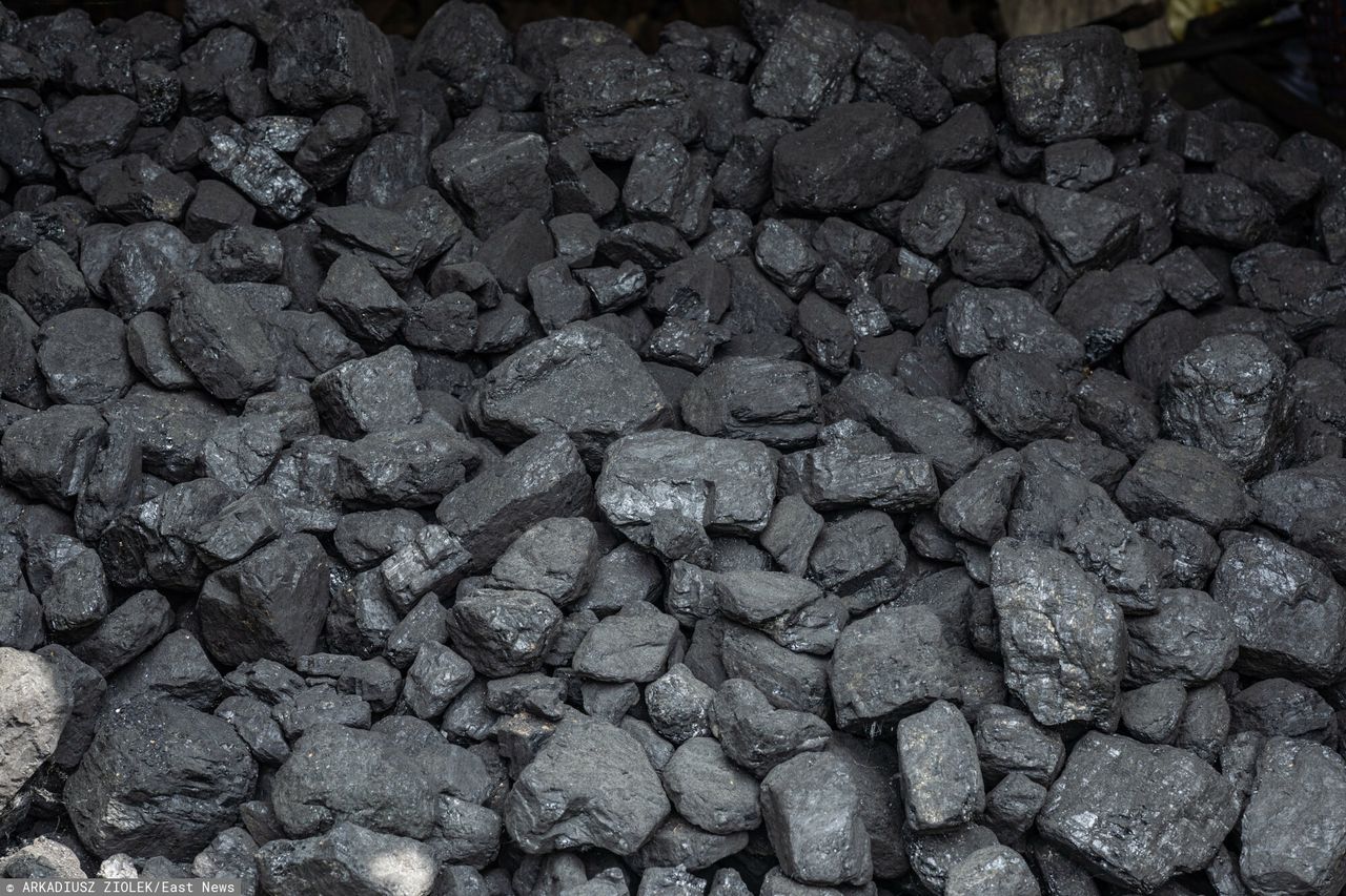 Ceny węgla w Polsce. Oto ile kosztuje tona opału