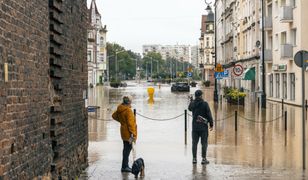 Nowy problem na zalanych terenach. Chodzi o mieszkania