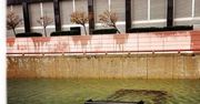 Instagram narzędziem pracy fotoreporterów TIME'a