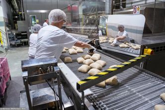 Tak Ukraińcy radzą sobie w Polsce. Nowe dane o zarobkach