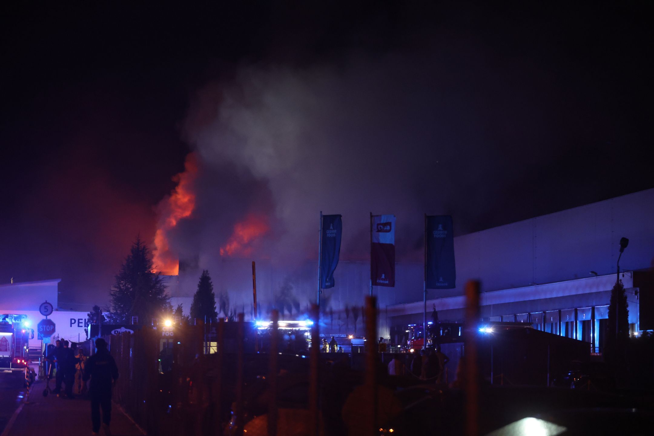 Pożar hali magazynowej zakładów mięsnych