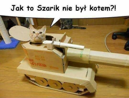 Dziś Dzień Kota. Oto memy z tej okazji 