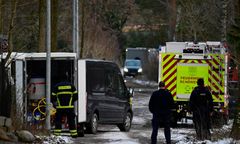 Kontrole na granicach z Niemcami. Wszystko przez pryszczyce