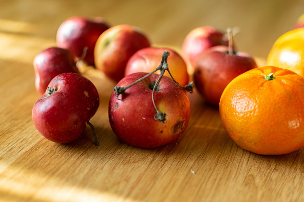 Gefährliche Früchte: Wie braune Flecken zur Gesundheitsgefahr werden