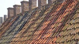 Solarne gonty już za dwa lata 1