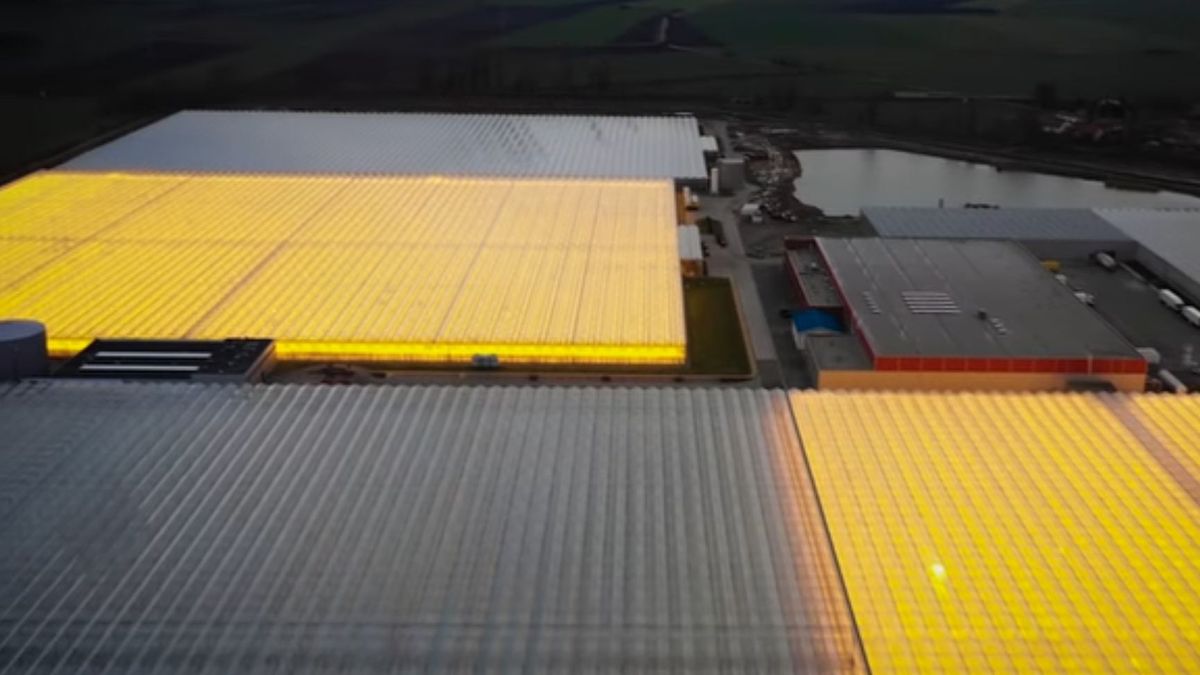 Niezwykłe zjawisko przy granicy z Czechami. Światło widać z wielu kilometrów 1