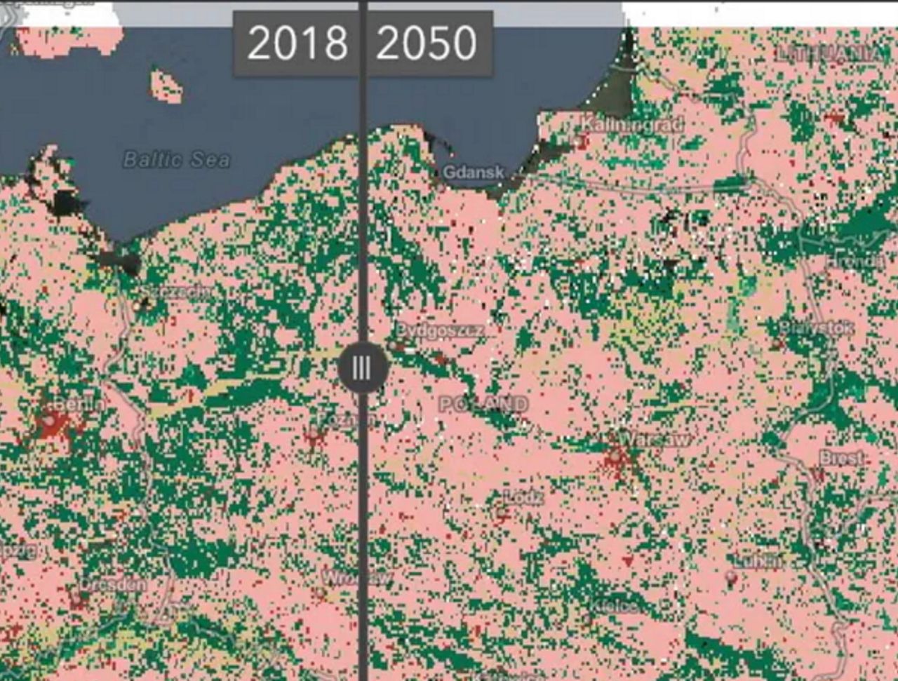 Świat w 2050 roku. Oto mapa, która pozwoli zobaczyć wszystkie zmiany - Esri Land Cover 2050 - interaktywna mapa świata