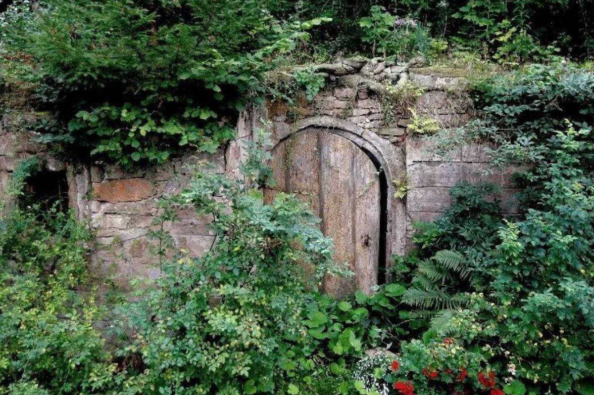 Znajdziesz na zdjęciu kobietę bez ubrań? Głowi się nad tym cały świat