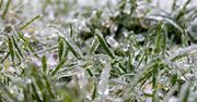 Ostrzeżenie meteo – opady marznące, gołoledź