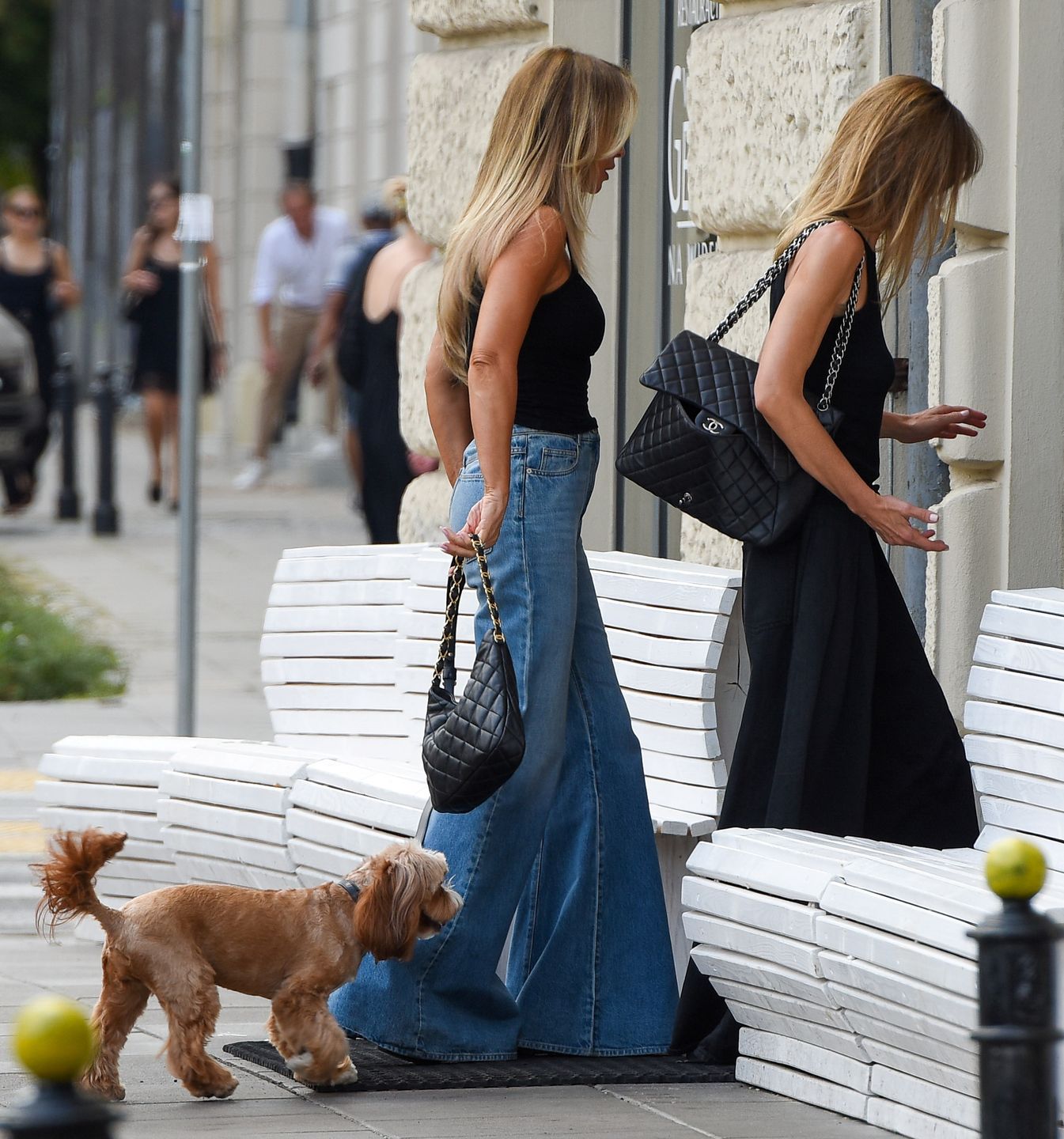 Szofer Joanny Przetakiewicz zaparkował na ścieżce dla rowerów