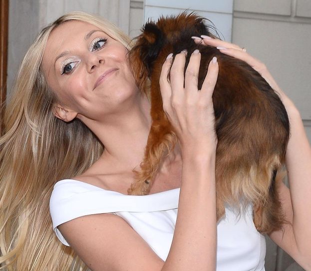 Obraz