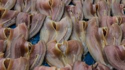 Polacy uwielbiają tę rybą. A to siedlisko ołowiu, kadmu, rtęci 