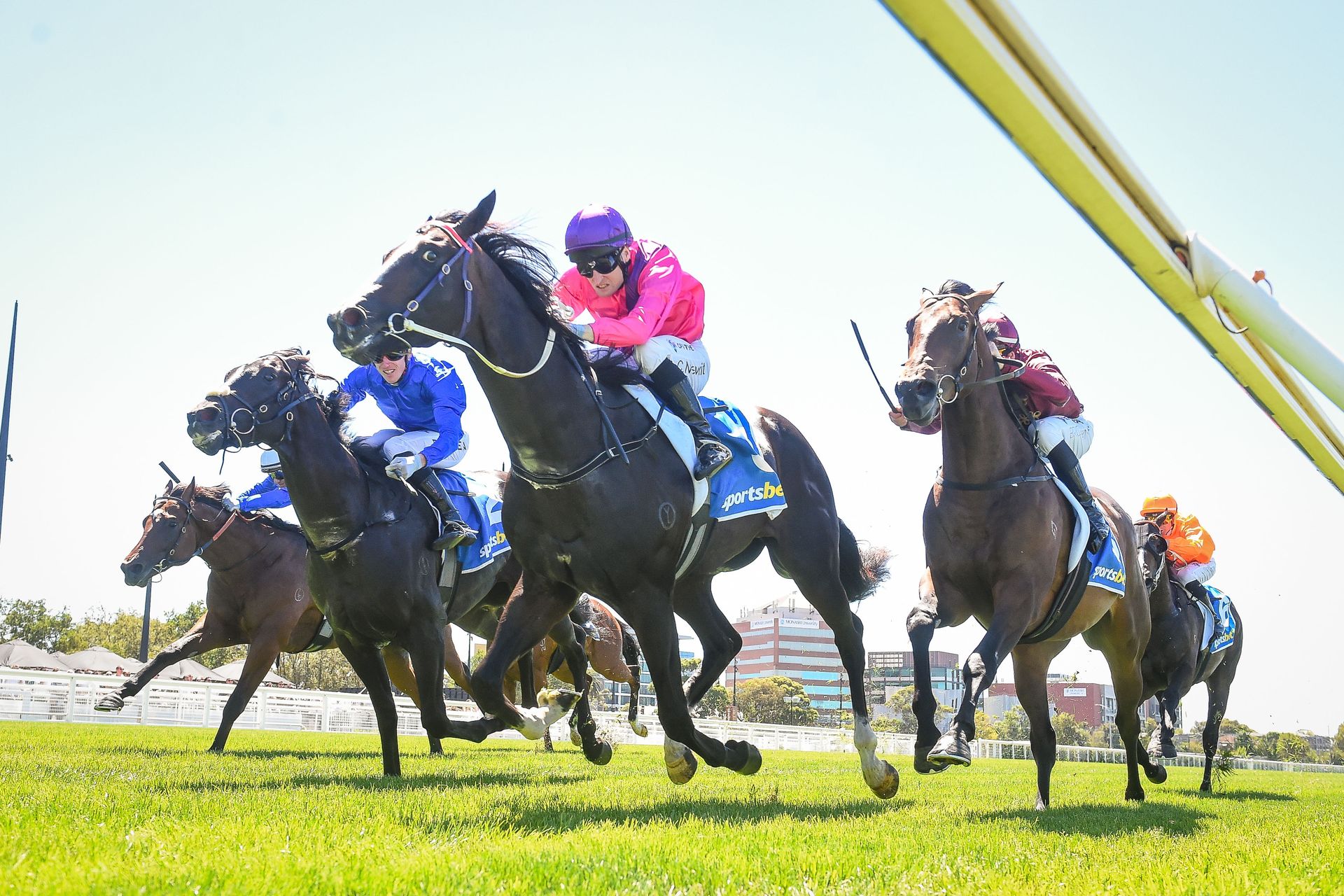 wiadomości,aktualności,WP Wiadomości Koń uśpiony po wyścigu. Prokuratura wszczyna śledztwo