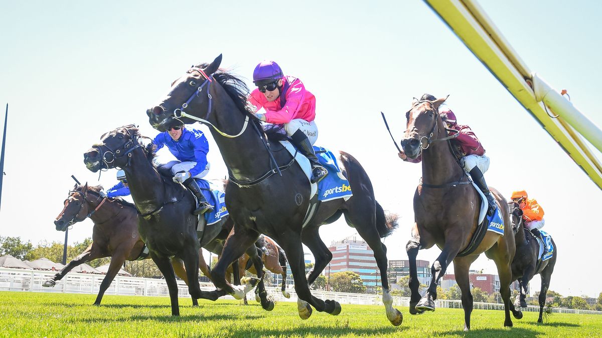 Wyścigi końskie (zdjęcie ilustracyjne)