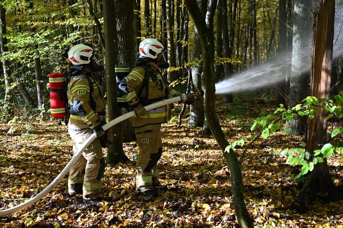 Strażacy biorący udział w ćwiczeniach zgrywających "Las Dąbrowa"