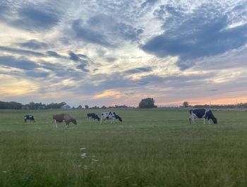 Dobrostan zwierząt ze zmianami na korzyść rolników