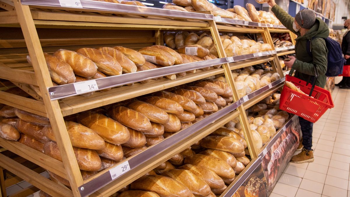 Zdjęcie poglądowe (Auchan)