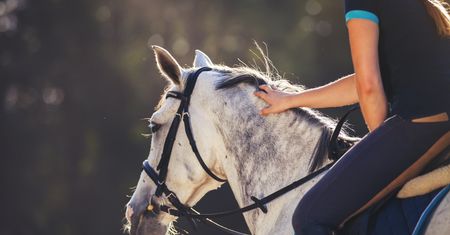 Trudna krzyżówka dla miłośników jeździectwa. Sprawdź, ile haseł odkryjesz