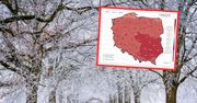 Anomalia pogodowa w Polsce. Padł grudniowy rekord