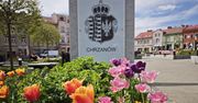 Chrzanów: Wiosna zagościła w centrum miasta. Rynek pełen kwiatów