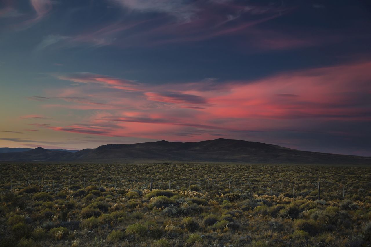 Znaleźli nieznaną linię genetyczną. Ma ok. 8500 lat