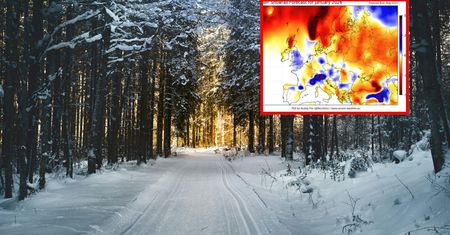 Synoptycy już wiedzą. Taka będzie tegoroczna zima
