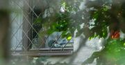 Oto dom Jarosława Kaczyńskiego. Tak wygląda rodzinna willa z ogrodem na Żoliborzu