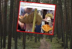 Poszedł na grzybobranie. To, co znalazł wysłał do telewizji