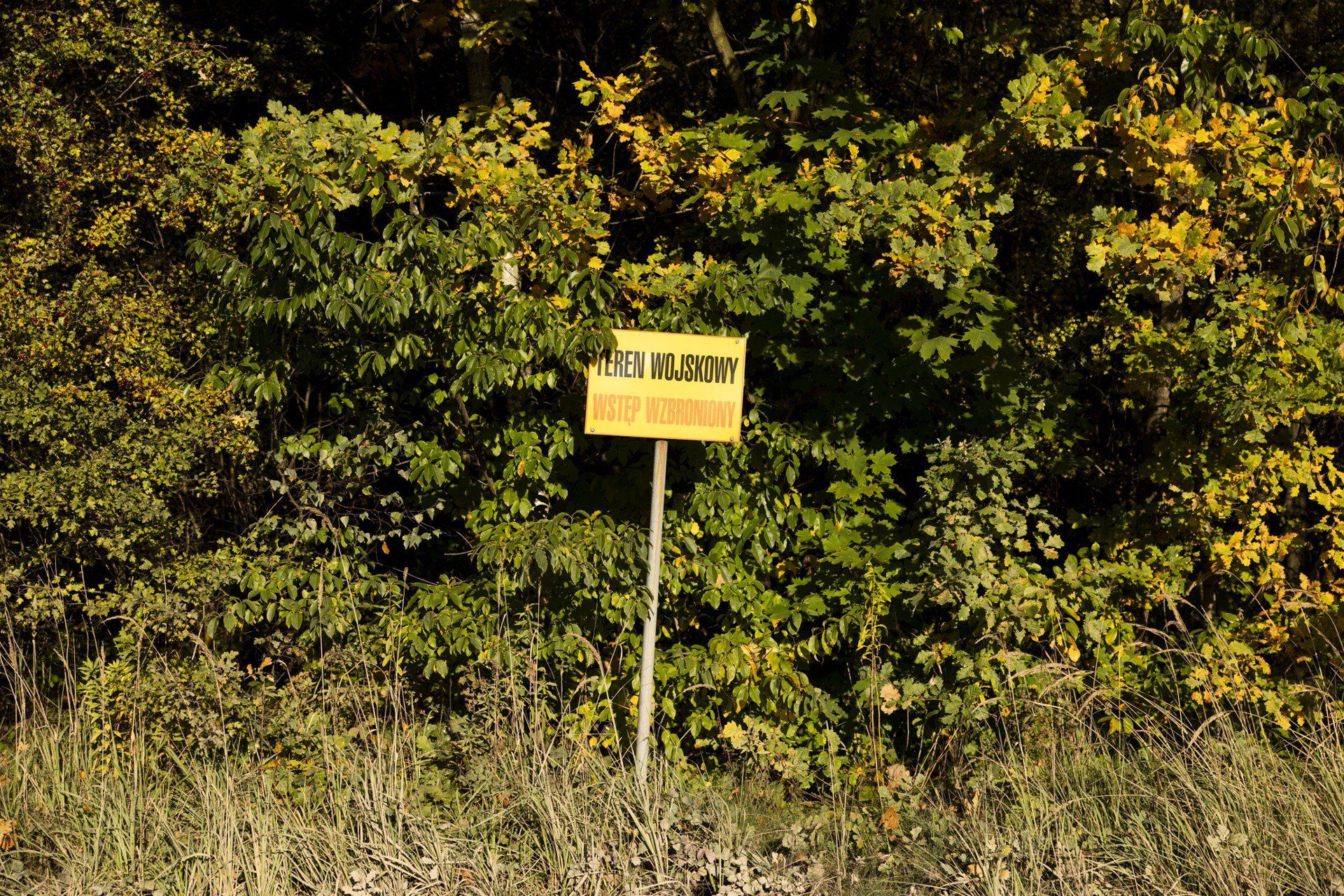 Ulica Starego Dębu na Pasterniku służy lokowaniu nowych inwestycji. Ale czy mieszkańcom?