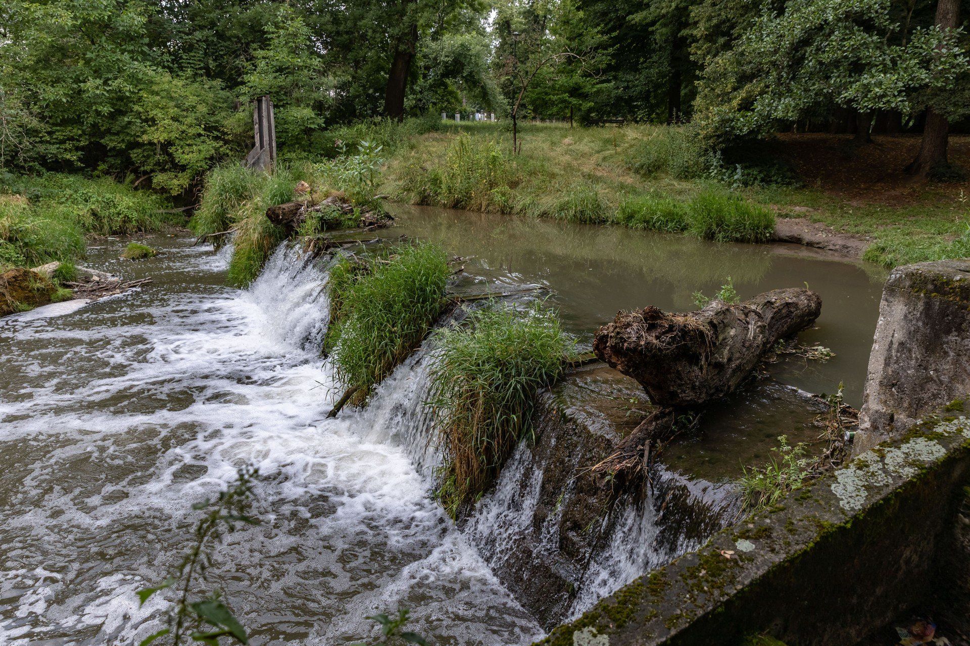Park im. Tadeusza Kościuszki przy Dworku Białoprądnickim w Krakowie.