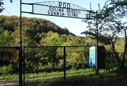 Działka znów w modzie. Epidemia podbiła ceny ogródków