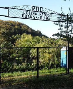 Działka znów w modzie. Epidemia podbiła ceny ogródków