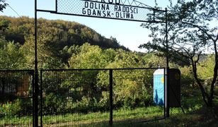 Działka znów w modzie. Epidemia podbiła ceny ogródków