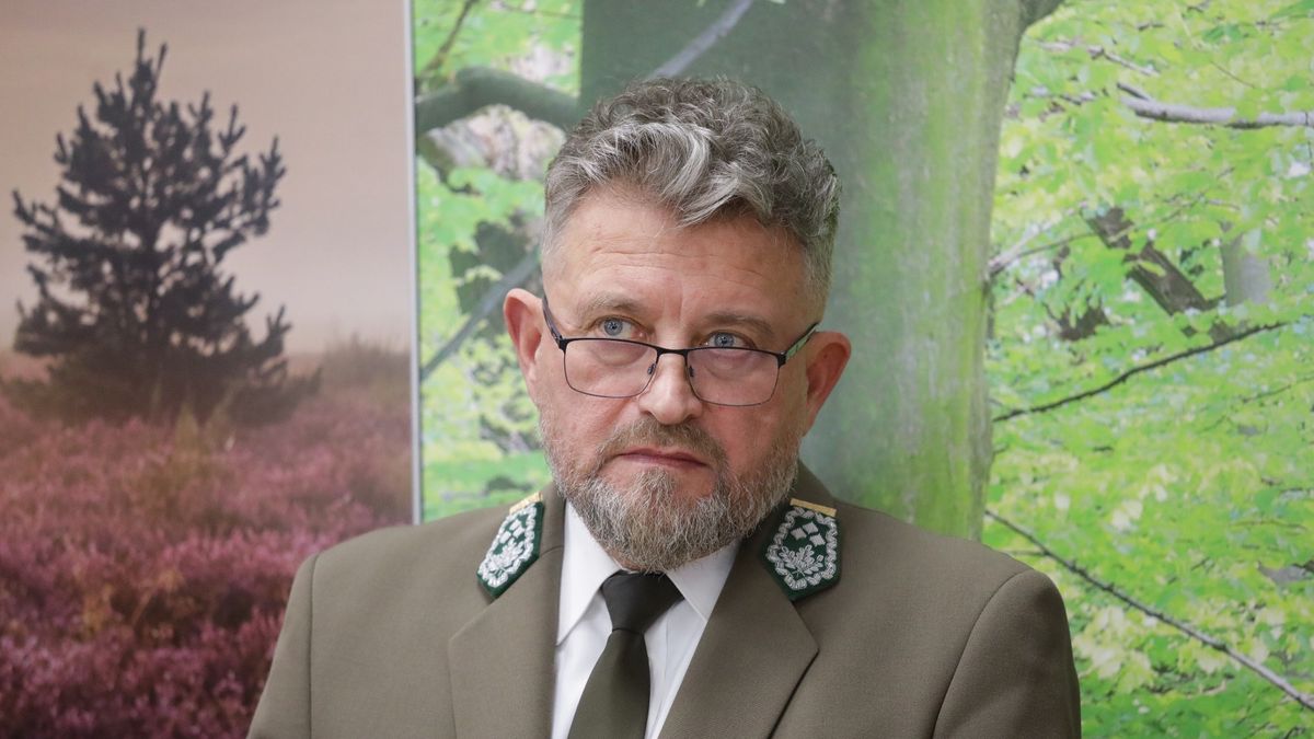 Będą nowe kryteria dotyczące wyboru obszarów wyłączonych z wycinki - zapowiada dyrektor LP Witold Koss