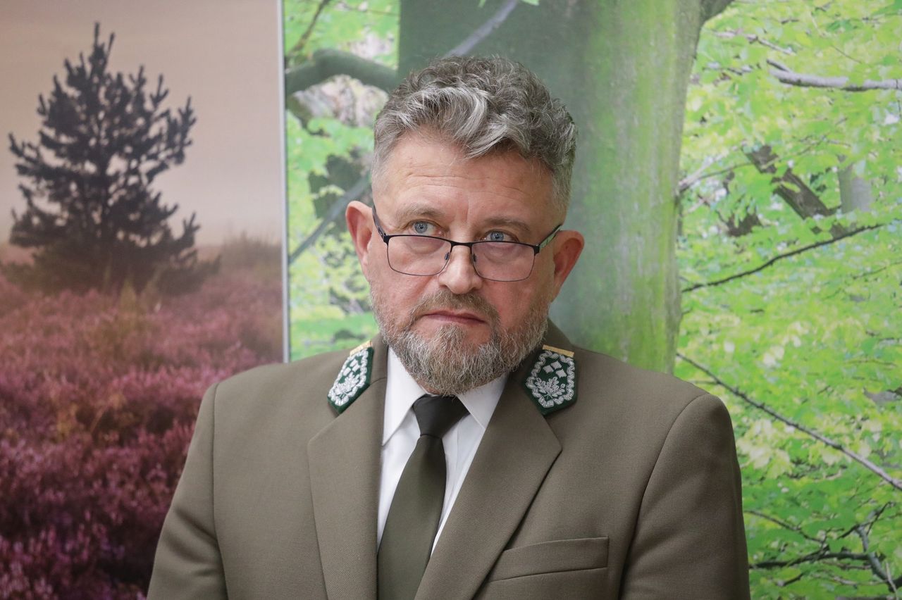 Wielka narada ws. lasów. Będą nowe zasady wycinki