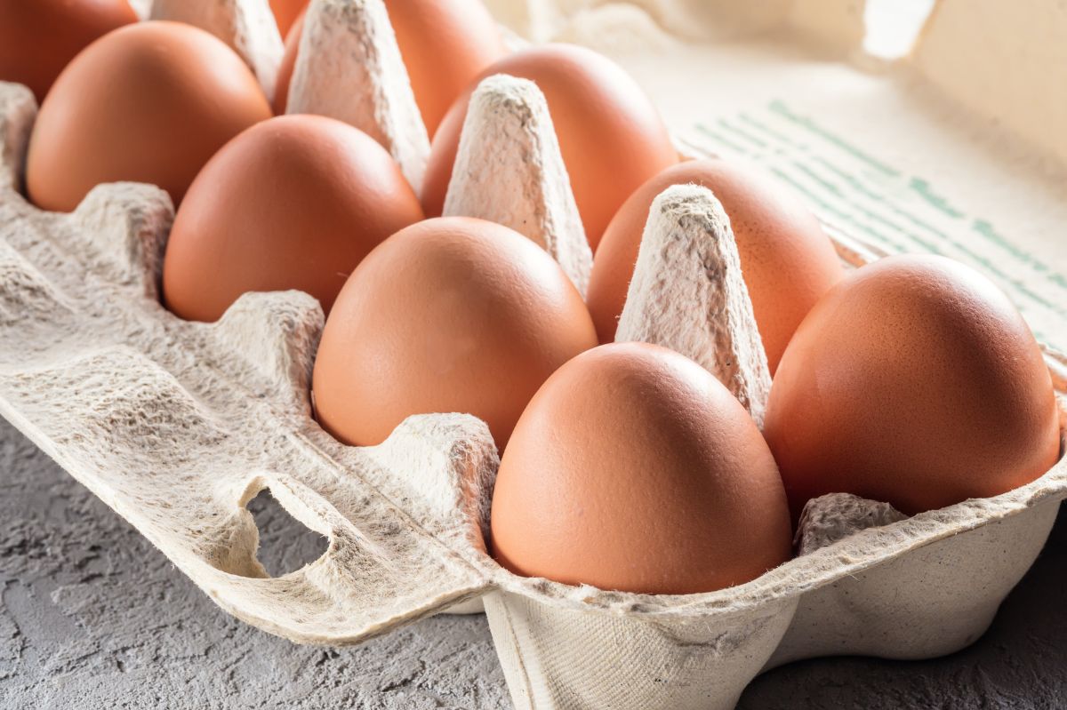 Eggs pack high quality protein and their cartons show surprising second life uses
